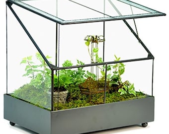 H Potter Terrarium Large Glass Wardian Case, Air Plant Terrarium, Succulent Container, Orchid Planter, Glass Container, Unique Gift Idea