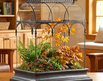 H Potter Large Glass Terrarium | 22-Inch Tall Wardian Case | Indoor Greenhouse Garden Display | Orchid House