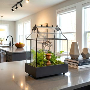 H Potter Terrarium, Curved Glass Terrarium Planter Wardian Case Wedding Centerpiece, Mother's Day Gift, Indoor Garden Plant Container