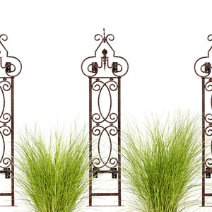 May include: Three rusty brown metal garden trellises with decorative scrollwork. The trellises are standing in front of three clumps of green grass.