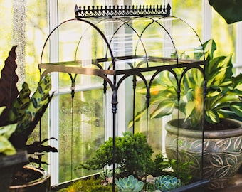 H Potter Large Glass Terrarium – 22-Inch Wardian Case, Indoor Garden Display