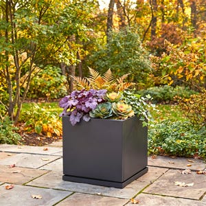 May include: A square, matte dark gray planter box containing a variety of plants, including purple-leafed heuchera, green and white ornamental kale, a central fern with golden-brown fronds, and trailing ivy, all set on a matching square base.
