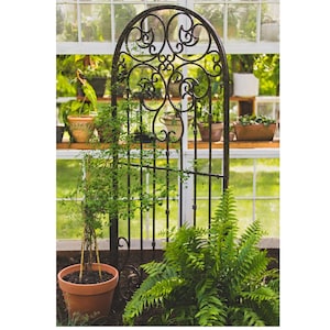 H Potter 6 ft Metal Garden Trellis, Indoor Outdoor Screen, Wrought Iron, Charcoal Brown Finish, Heavy Scroll, Backyard Art, Rose Clematis
