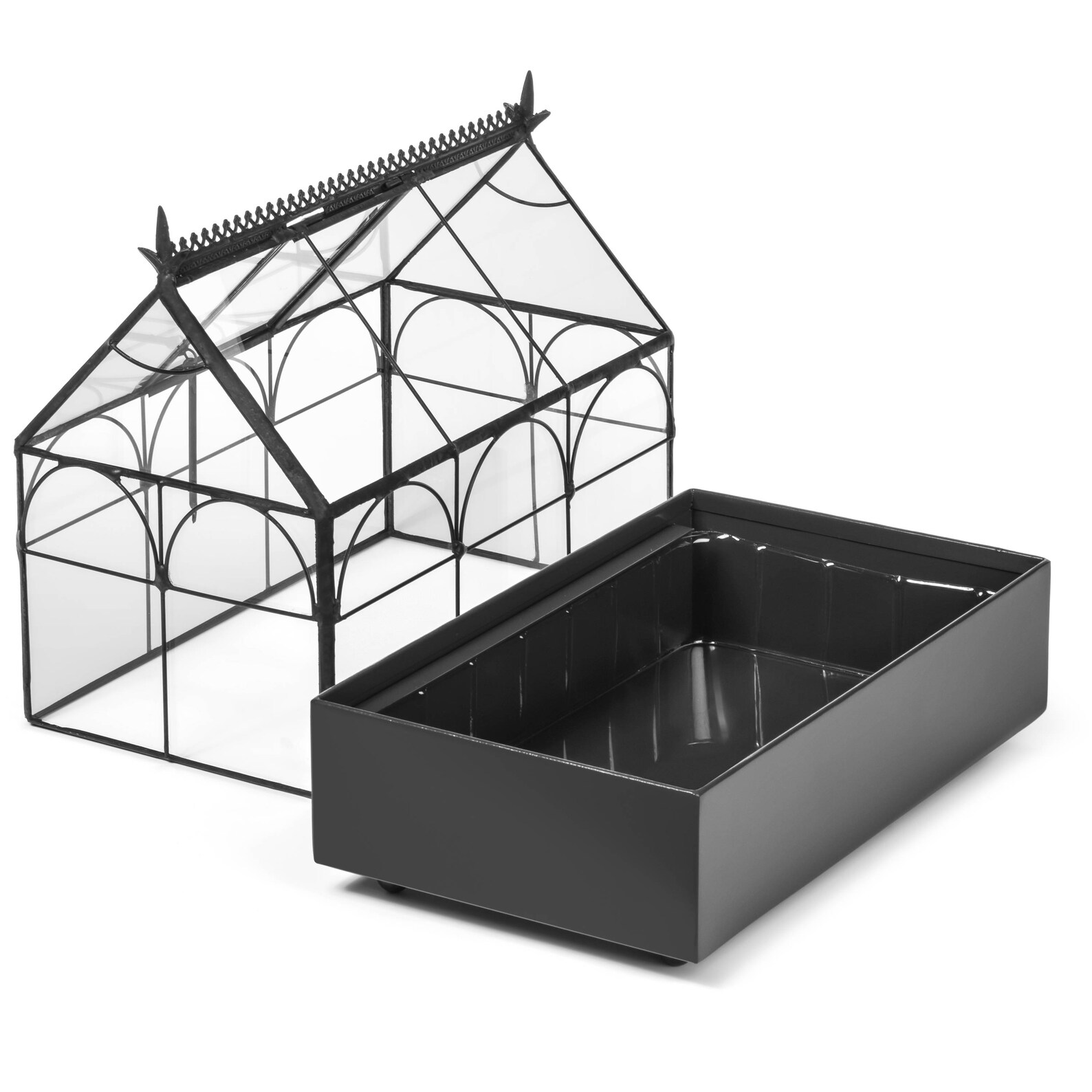 H Potter Plant Terrarium Container Large Glass Wardian Case Etsy