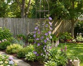 H Potter Iron Trellis, Large Obelisk For Climbing Garden Plants, Metal Vertical Yard Art, Garden Gift, Outdoor Decor Backyard Accent