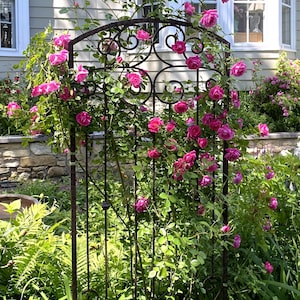 H Potter Large 6 ft Garden Trellis, Wrought Iron Heavy, Scroll Metal Wall Art, Yard Art Lawn, Patio Decor, Unique Gift Idea Rose Ivy