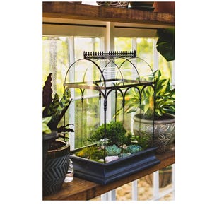 H Potter Terrarium Large Glass Terrarium Wardian Case, Display Case, Indoor Garden Succulent Container, Orchid Planter, Unique Gift Idea