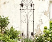H Potter Metal Wall Trellis | Large Garden Trellis | Wall Mounting Brackets Included | Scrolling Metal Wall Art