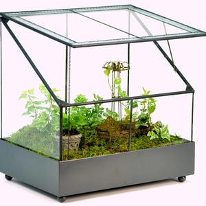 H Potter Terrarium Large Glass Wardian Case Air Plant Terrarium Succulent Container Orchid Planter  Unique Wedding Spring Decor Gift Idea