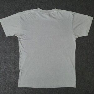 May include: A plain gray t-shirt with short sleeves.