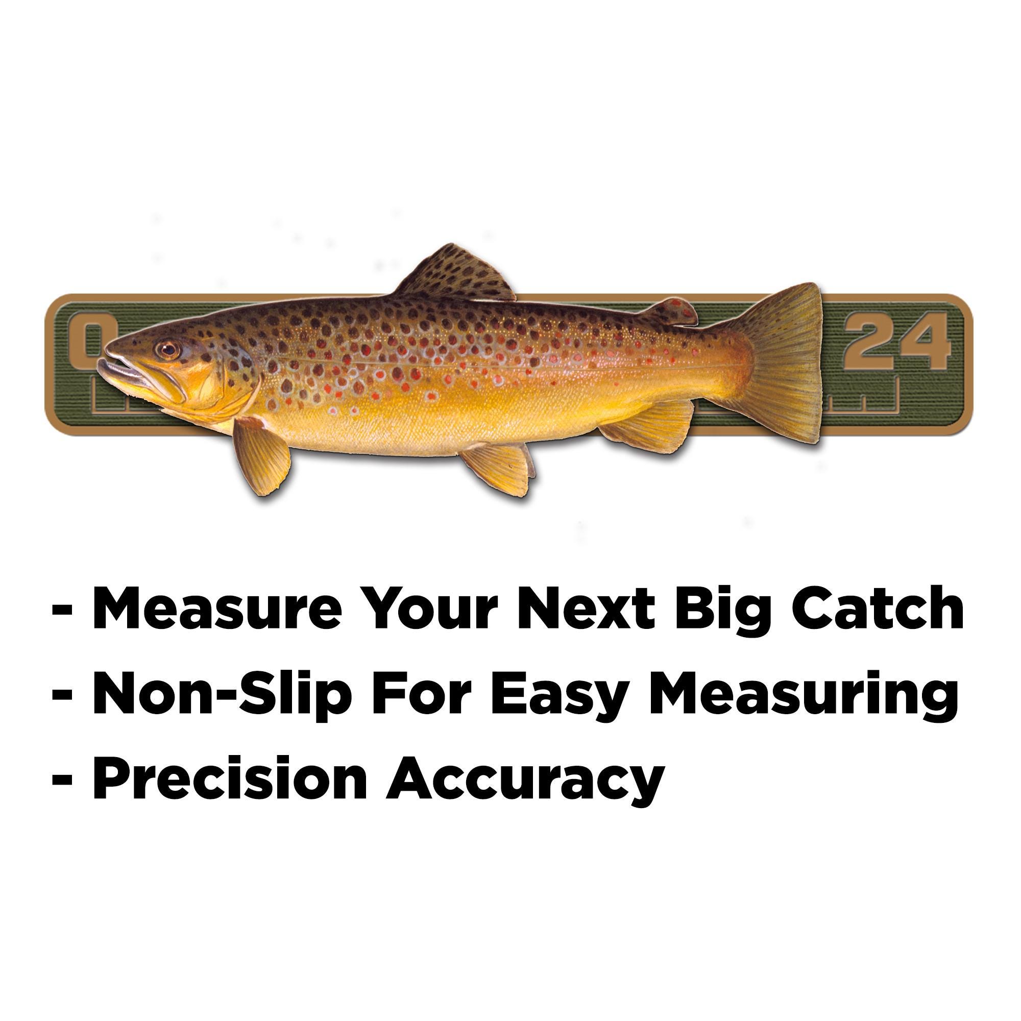 Evo Fish Ruler Seadek 24