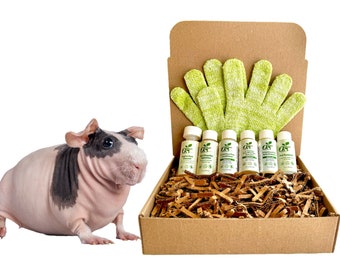 4-HAIRLESS PETS *Regular SkinnyPig Kit *sample* For: Normal / Oily Skin
