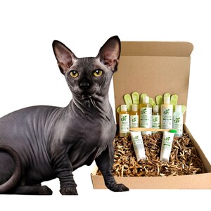 4-HAIRLESS CATS *Restorative Grooming Kit For: Rash / Allergic Skin