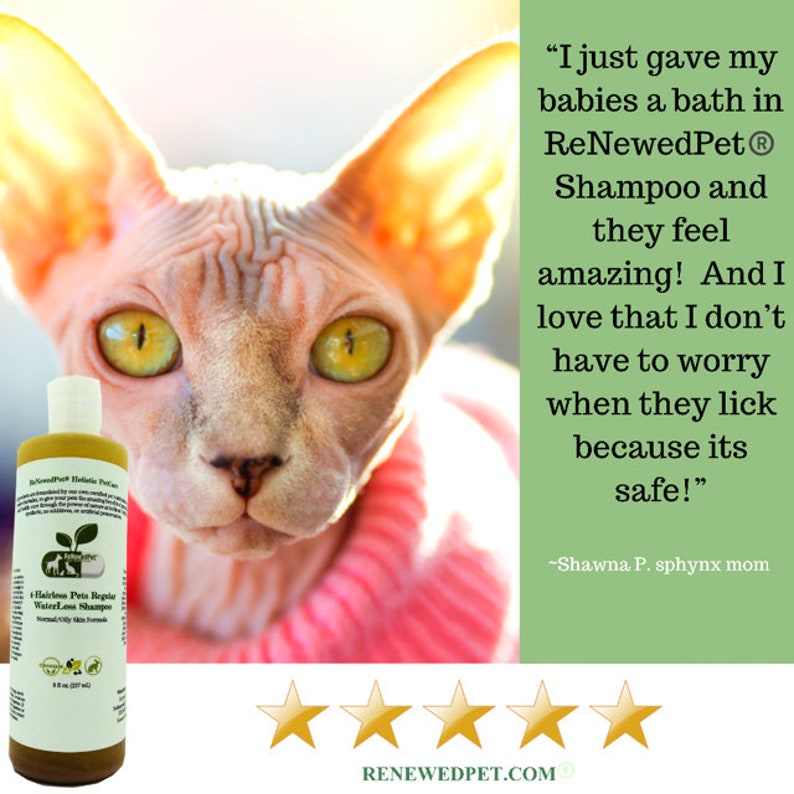 4HAIRLESS CATS sensitive Grooming Kit For Sensitive Dry / Etsy