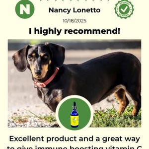 Extra Large Liquid Pet Vitamin C: Natural Vegan Formula image 6