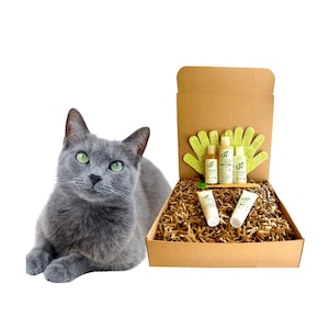 Può includere: Una scatola regalo piena di prodotti per la cura del gatto, tra cui shampoo, balsamo e un guanto per la cura. La scatola è realizzata in cartone marrone e ha un design verde e bianco. Un gatto grigio è seduto in primo piano.