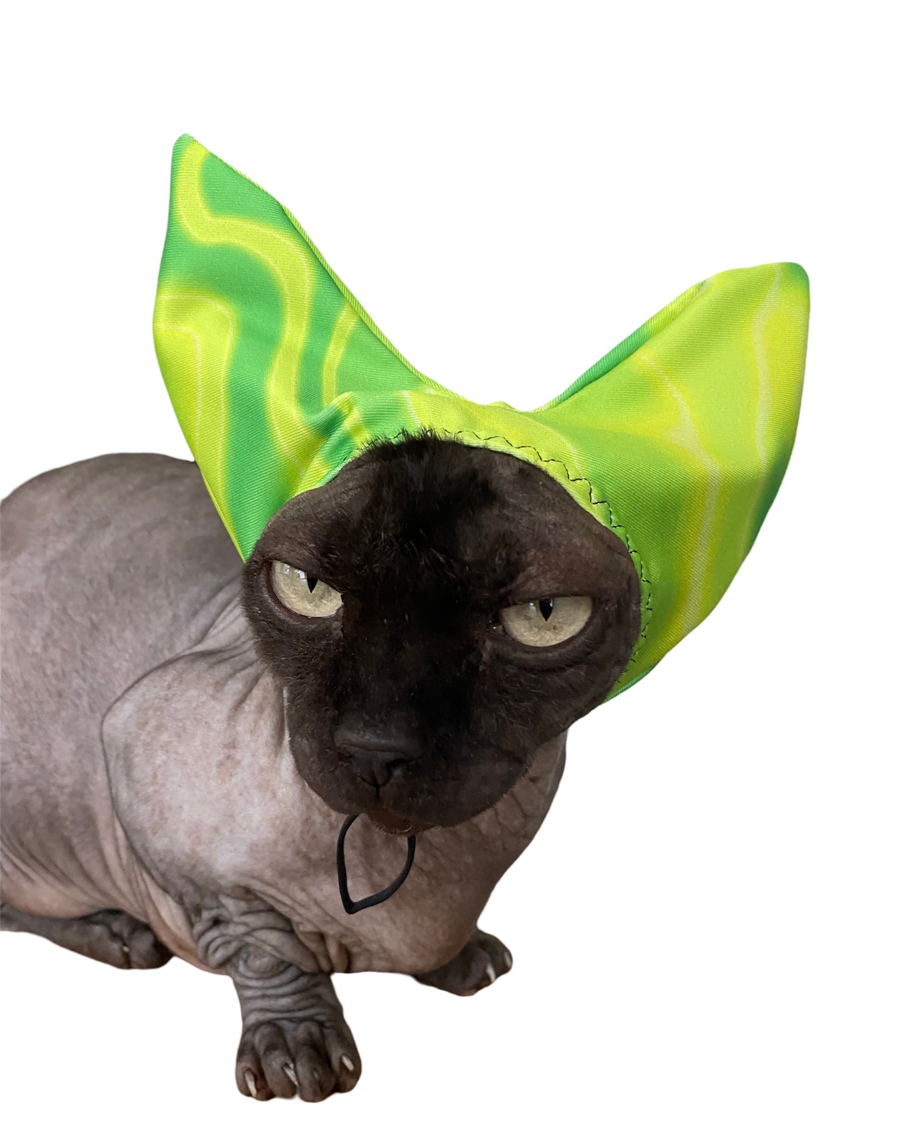 PET SHOWER CAPS Etsy