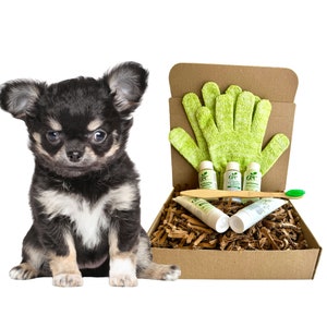 Può includere: Una scatola di cartone marrone piena di una spugna verde, tre piccoli flaconi di shampoo per cani, due tubetti di dentifricio, uno spazzolino da denti in bambù e noccioline di imballaggio marroni. Un piccolo cucciolo di chihuahua nero e bianco è seduto davanti alla scatola.