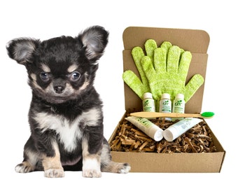 Kit de muestras de aseo natural para perros / Para pieles sensibles o secas / Champú, acondicionador, limpiador de oídos, colirio, pasta de dientes y más, todo orgánico para perros.