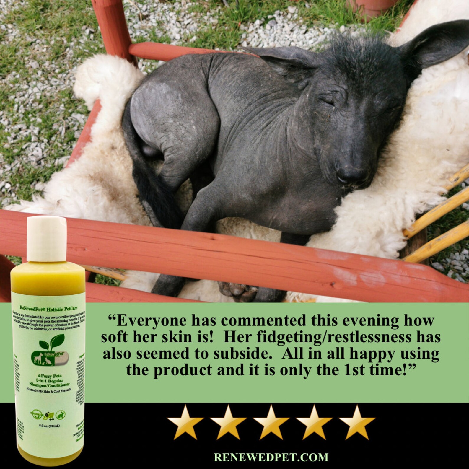 4HAIRLESS DOGS restorative Grooming Kit For Rash / Allergic Etsy