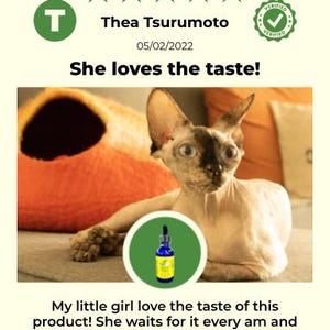 Extra Large Liquid Pet Vitamin C: Natural Vegan Formula image 12
