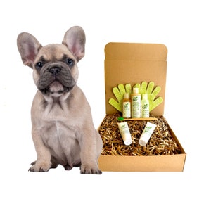4-FURRY DOGS *Regular Formula Grooming Kit