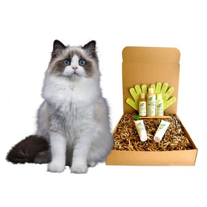 Può includere: Una scatola di cartone marrone piena di prodotti naturali per la cura della pelle, tra cui una bottiglia verde e bianca, un tubo verde e bianco e due guanti per le mani verdi e bianchi. La scatola è su una superficie bianca con un gatto bianco e grigio soffice seduto di fronte.