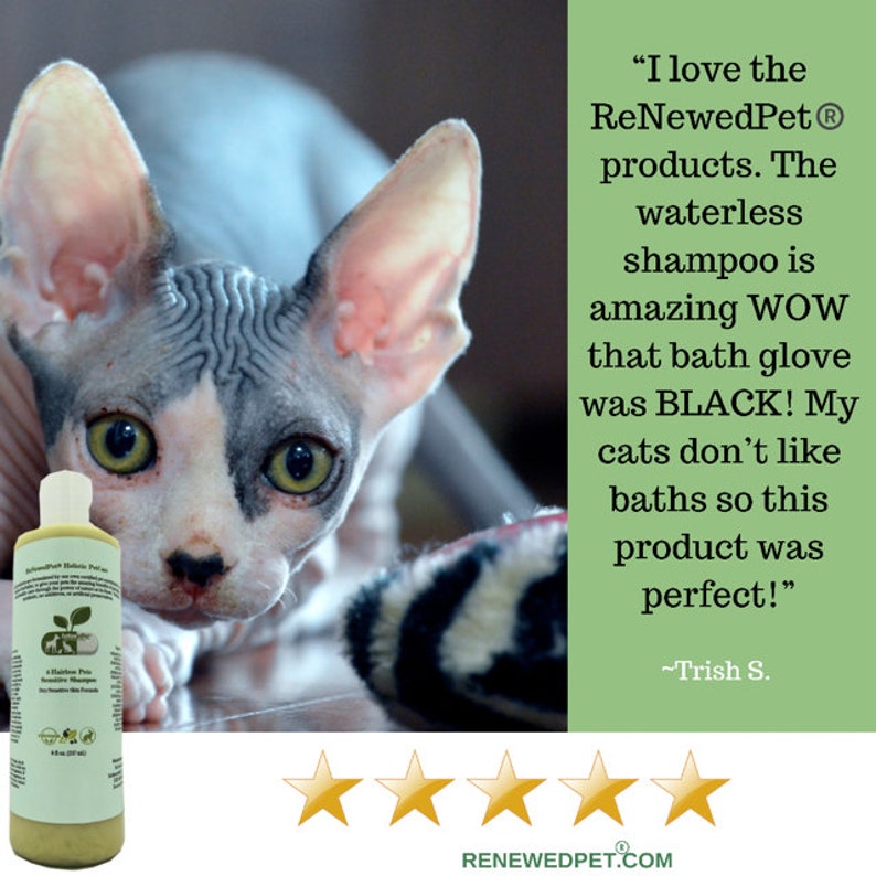 4HAIRLESS CATS Regular Grooming Kit Normal / Oily Skin Etsy España