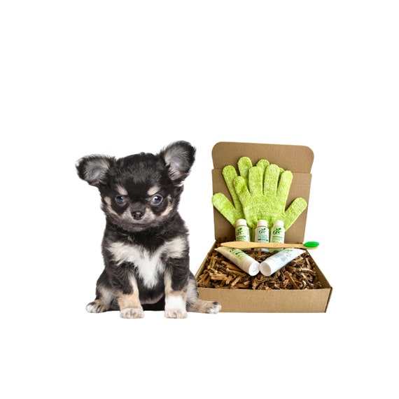 4-FURRY-DOGS *sensitive Grooming Kit *sample* For: Sensitive/dry