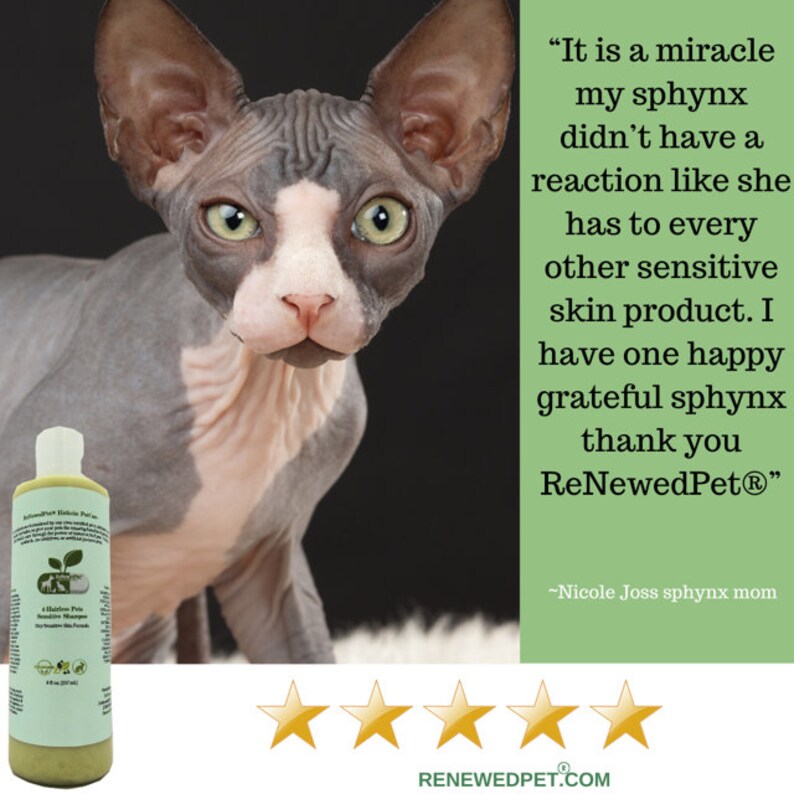 4HAIRLESS CATS sensitive Grooming Kit For Sensitive Dry / Etsy