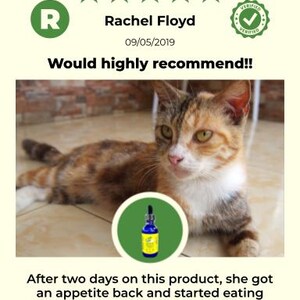 Extra Large Liquid Pet Vitamin C: Natural Vegan Formula image 8