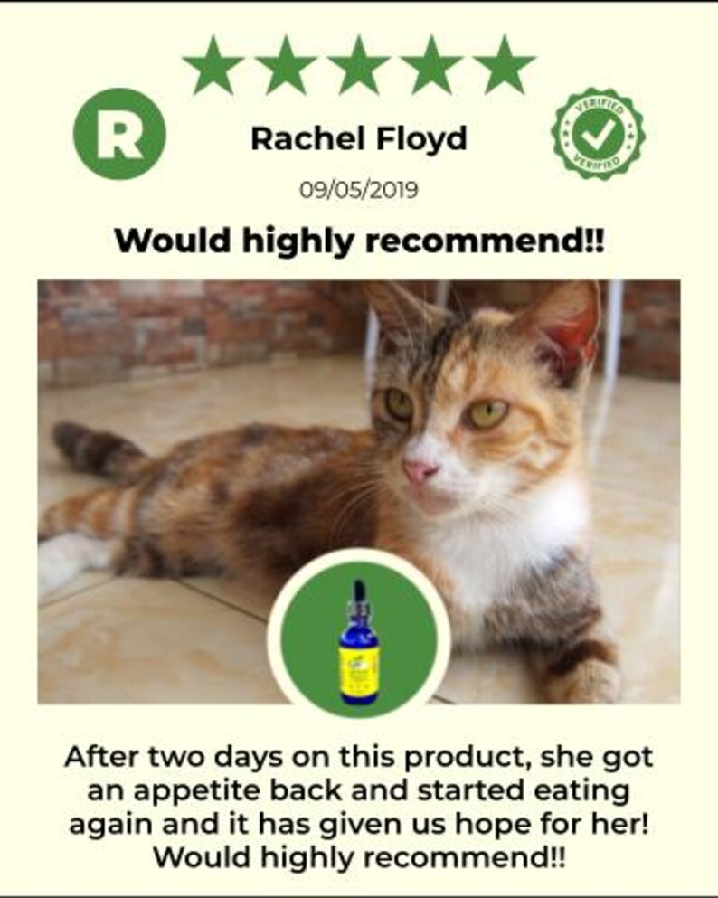 Extra Large Liquid Pet Vitamin C: Natural Vegan Formula image 8