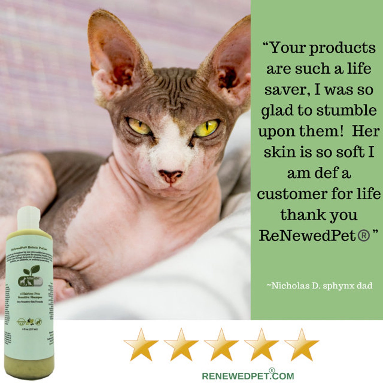 4HAIRLESS CATS Regular Grooming Kit Normal / Oily Skin Etsy España