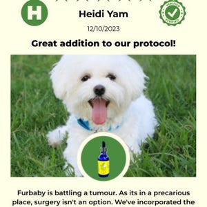 Extra Large Liquid Pet Vitamin C: Natural Vegan Formula image 10