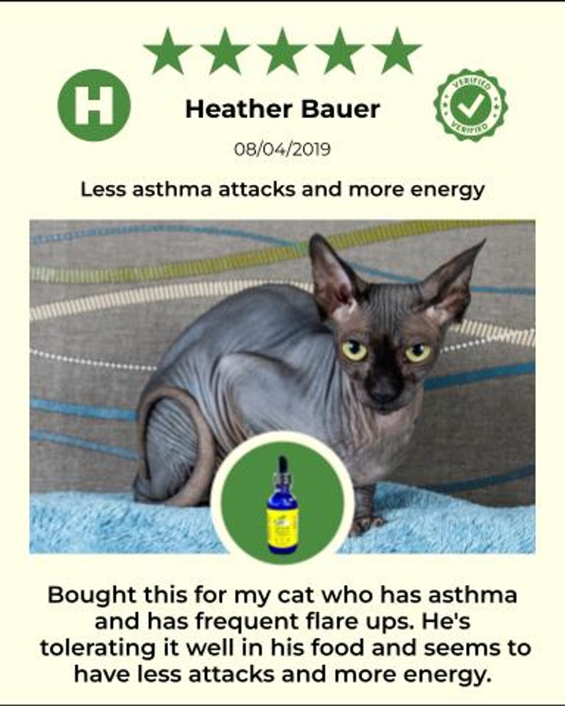 Extra Large Liquid Pet Vitamin C: Natural Vegan Formula image 13