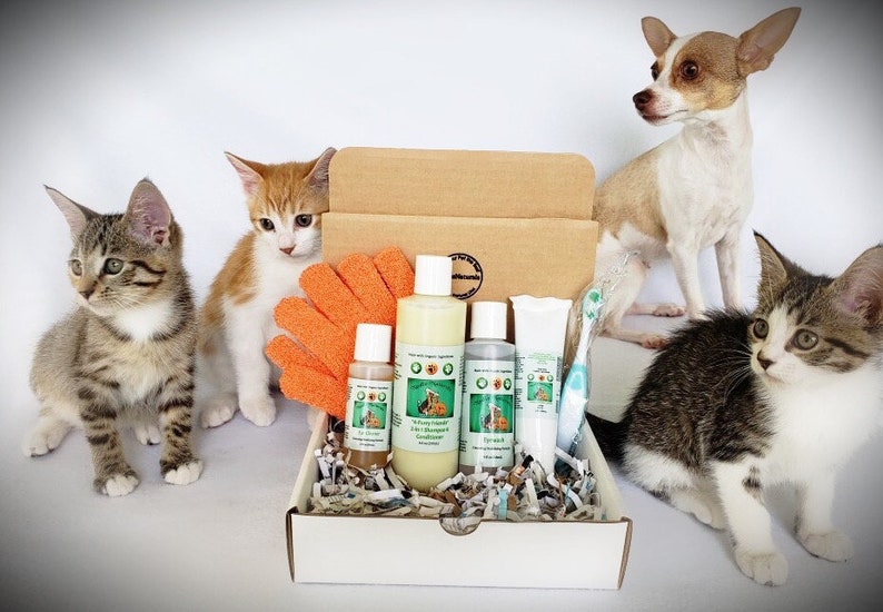 furry friends holistic pet spa