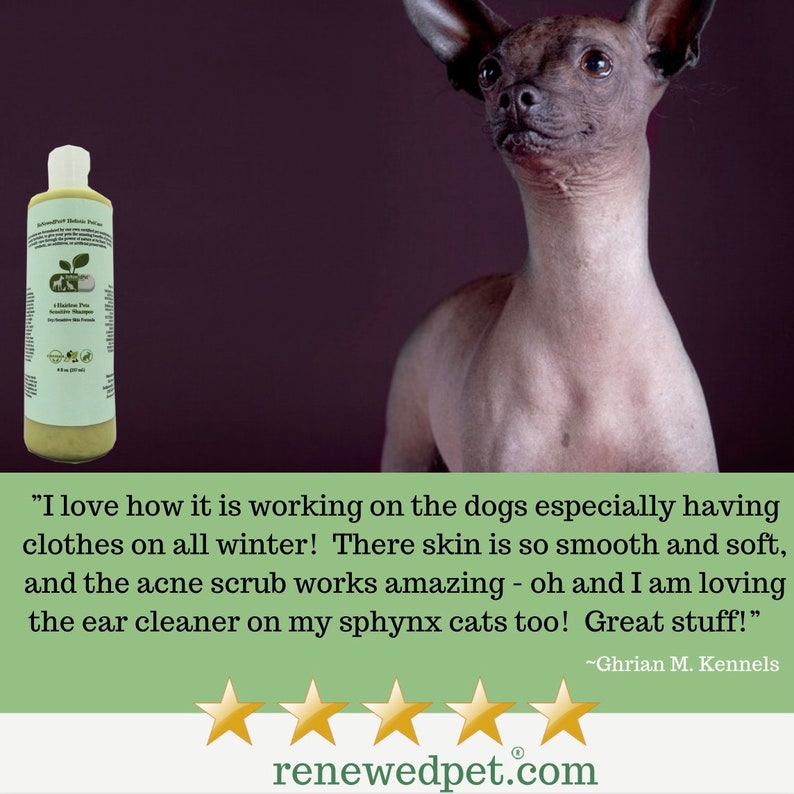 4HAIRLESS DOGS restorative Grooming Kit For Rash / Allergic Etsy