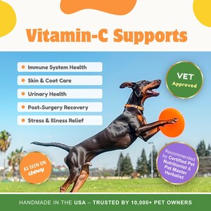 May include: A black and brown dog jumps in the air with a bright orange frisbee in its mouth. The image has a blue sky background and green grass in the foreground. The text "Vitamin-C Supports" is at the top of the image. A list of benefits of Vitamin-C for dogs is listed below the text. The text "VET Approved" is in a green circle in the upper right corner of the image. The text "Recommended by Certified Pet Nutritionist & Pet Master Herbalist" is in a purple rectangle in the lower right corner of the image. The text "AS SEEN ON chewy" is in a yellow circle in the lower left corner of the image. The text "HANDMADE IN THE USA - TRUSTED BY 10,000+ PET OWNERS" is at the bottom of the image.
