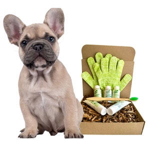 4-FURRY-DOGS *Regular Grooming Kit *sample* For: Normal/Oily Coat