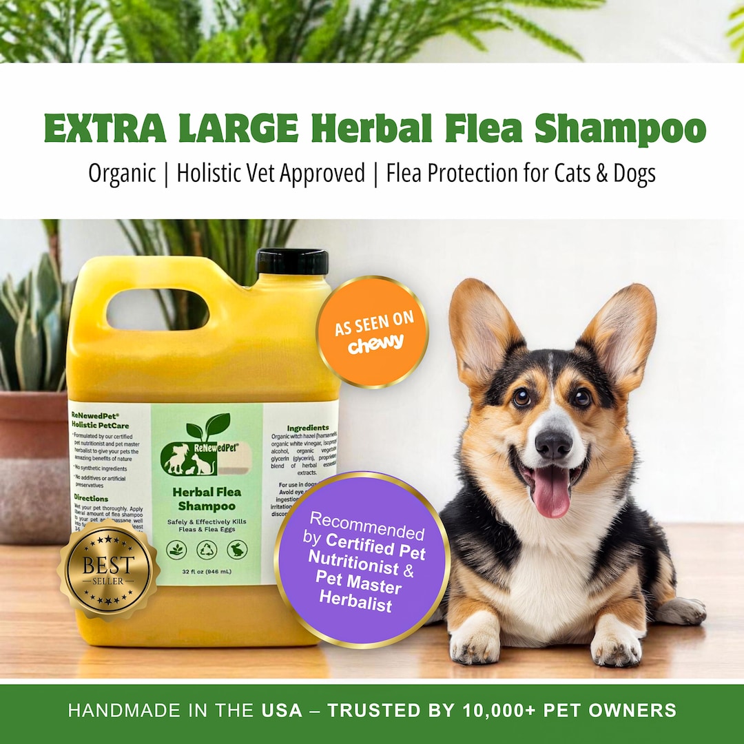 Does Witch Hazel Kill Fleas: Proven Natural Flea Remedy Tips