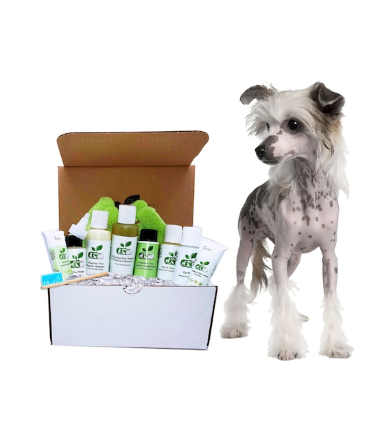 4HAIRLESS DOGS restorative Grooming Kit For Rash / Allergic Etsy