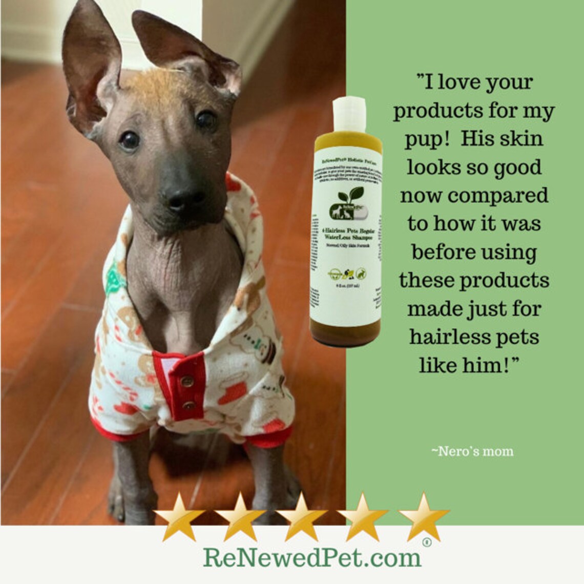 4HAIRLESS DOGS restorative Grooming Kit For Rash / Allergic Etsy