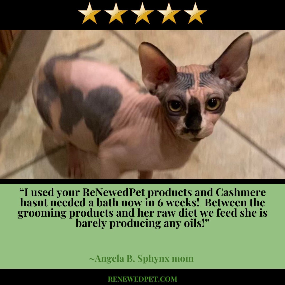 4HAIRLESS PETS Regular Cat Grooming Kit sample For Etsy