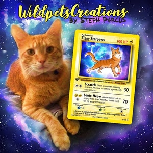 votre animal de compagnie comme carte Pokémon
