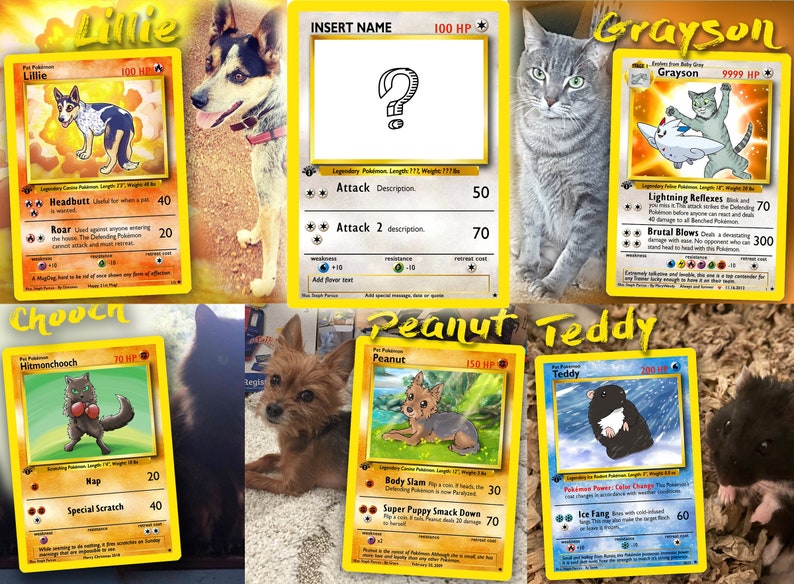 your Pet as a Pokemon card image 7