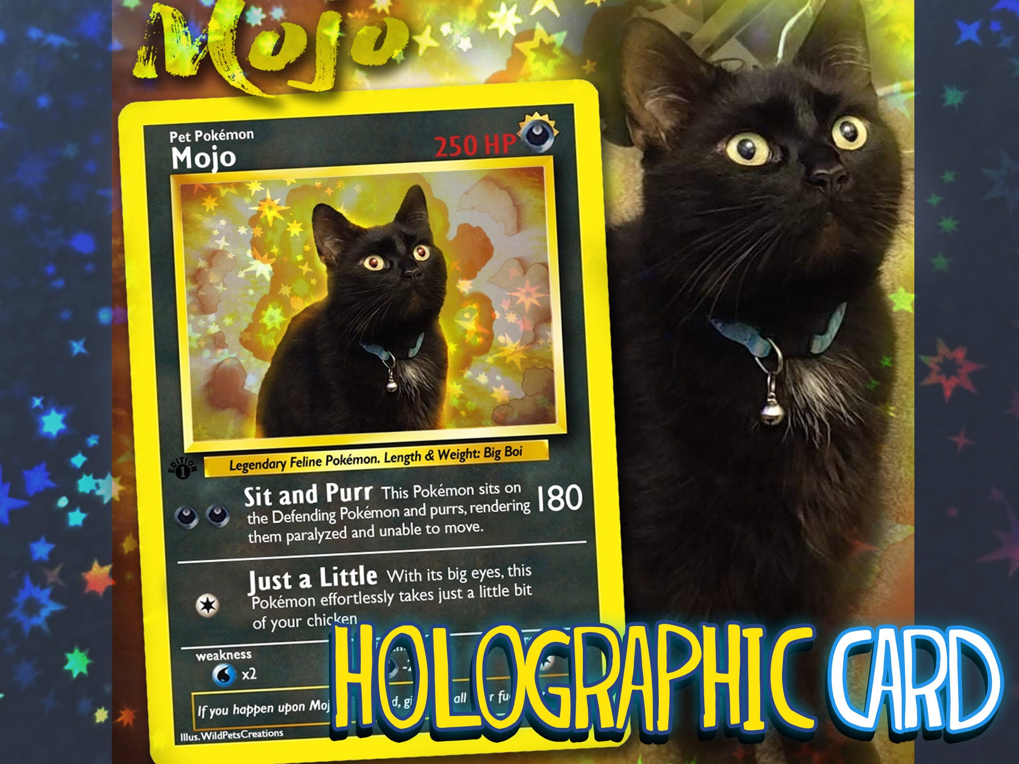 Pokemon Card Black Cat