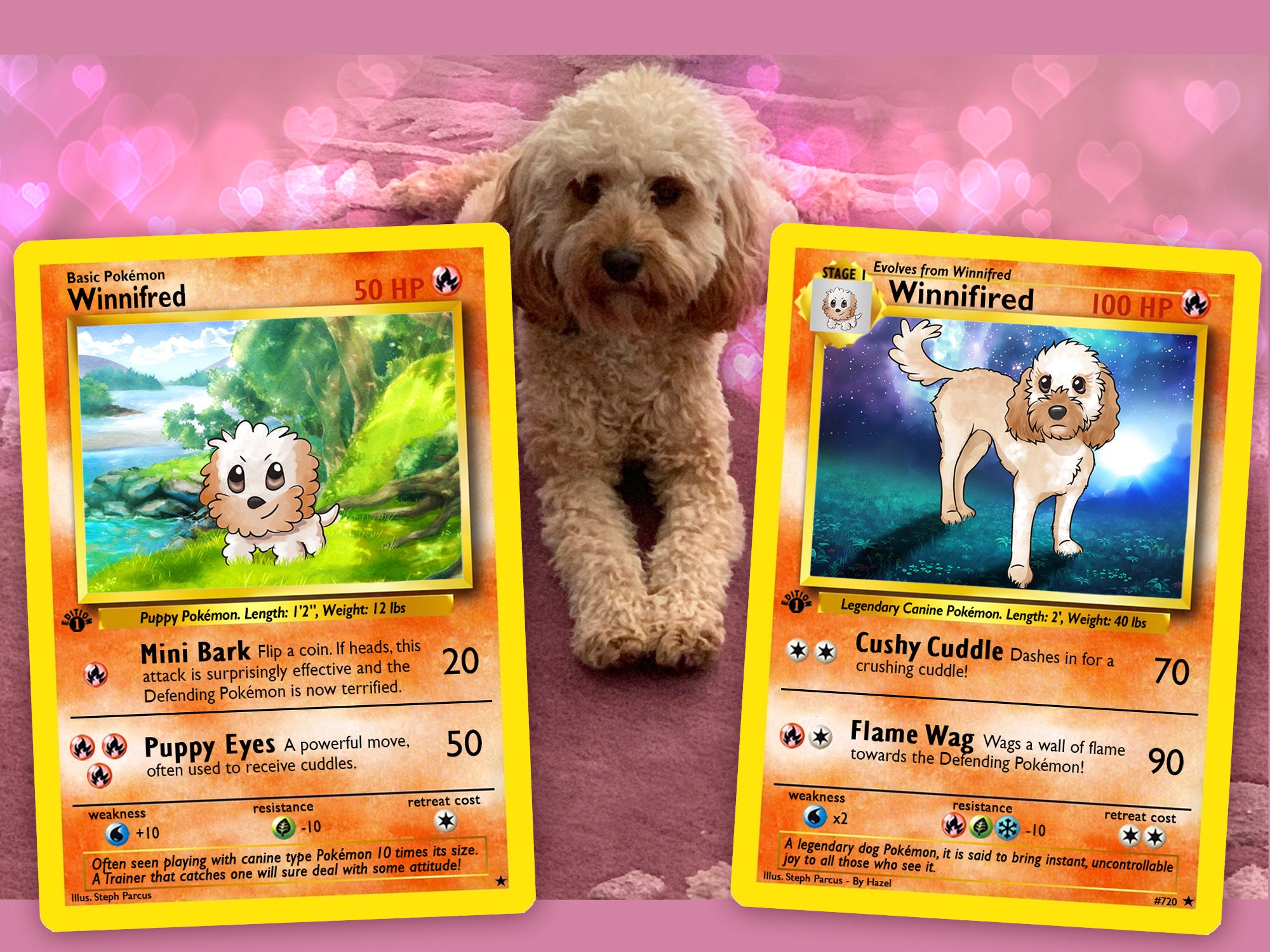 Standaard Lijm repetitie Evolution Set 2 or 3 Pet Pokemon Cards - Etsy