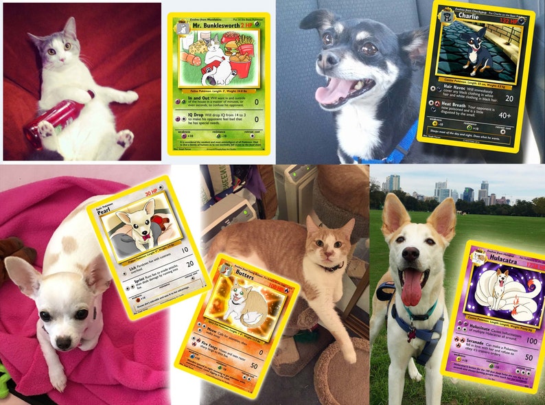 your Pet as a Pokemon card image 2