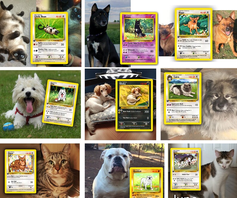 your Pet as a Pokemon card image 5
