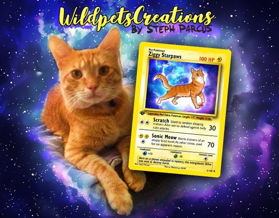 Your Pet As A Pokemon Card Etsy